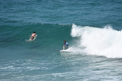 DSC_5935.JPG