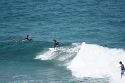 DSC_5937.JPG