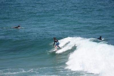 DSC_5938.JPG