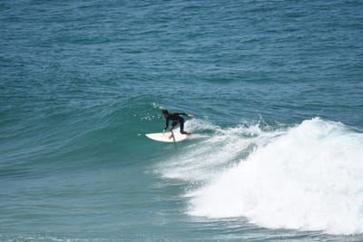 DSC_5940.JPG