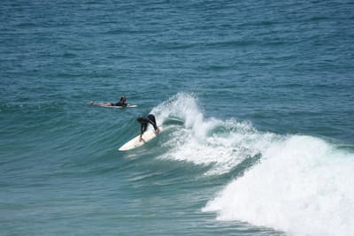 DSC_5942.JPG