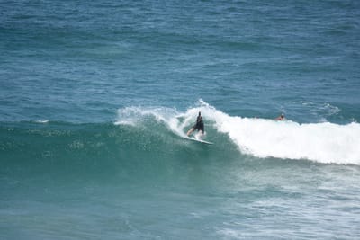 DSC_5953.JPG