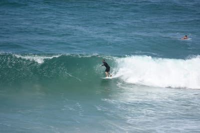 DSC_5955.JPG