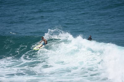 DSC_5960.JPG