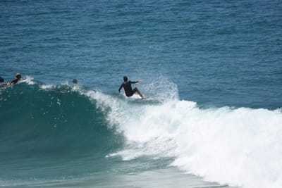 DSC_5964.JPG