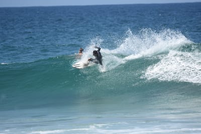 DSC_5976.JPG
