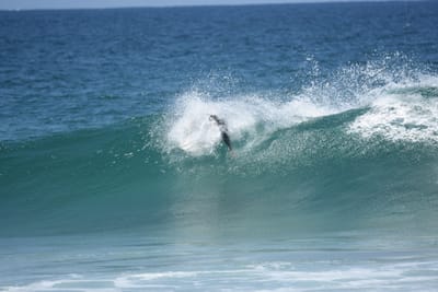 DSC_5977.JPG