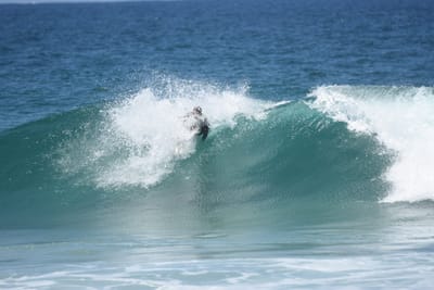 DSC_5978.JPG