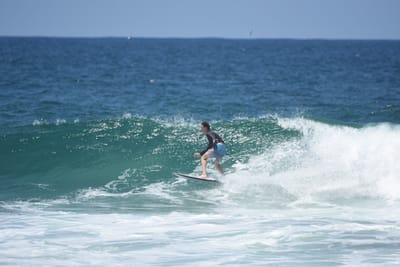 DSC_5985.JPG