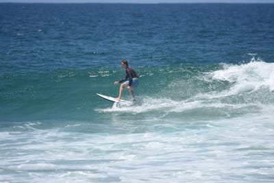 DSC_5990.JPG