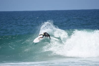 DSC_6017.JPG