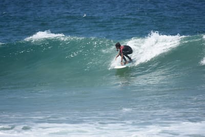 DSC_6044.JPG