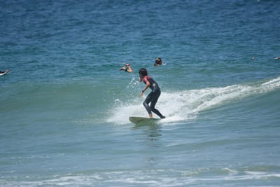 DSC_6071.JPG