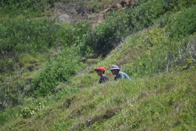 DSC_6082.JPG