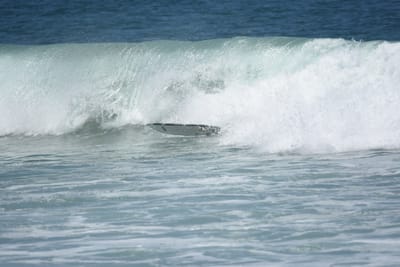 DSC_6102.JPG