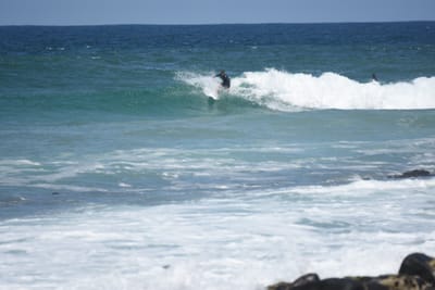 DSC_6116.JPG