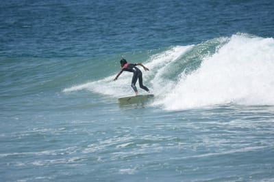 DSC_6133.JPG