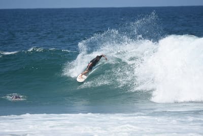 DSC_6193.JPG