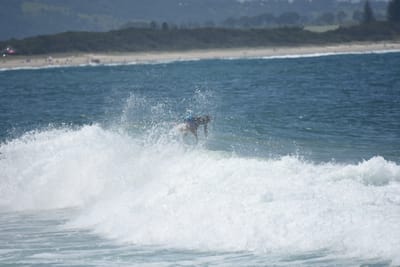 DSC_6236.JPG