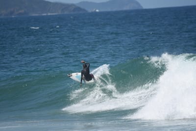 DSC_6252.JPG