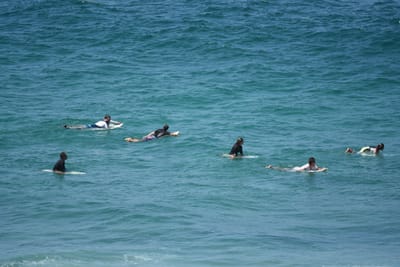 DSC_6265.JPG