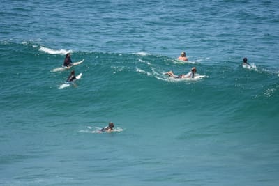 DSC_6266.JPG