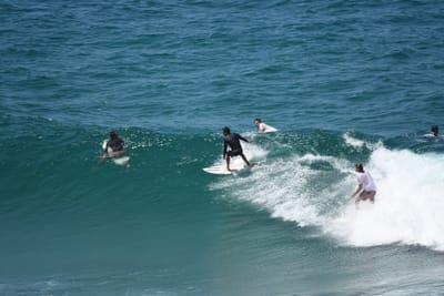 DSC_6269.JPG