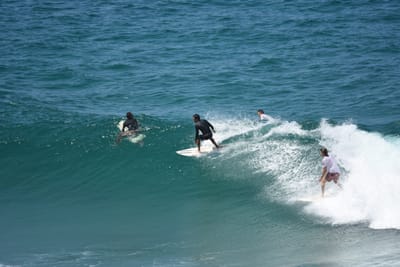 DSC_6270.JPG