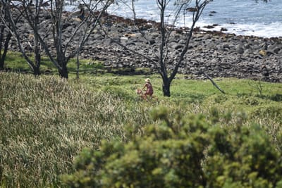 DSC_6275.JPG