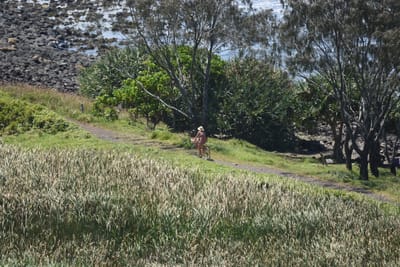 DSC_6276.JPG