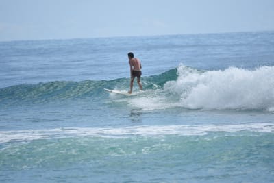 DSC_6337.JPG