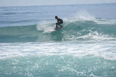 DSC_6351.JPG