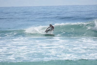 DSC_6356.JPG