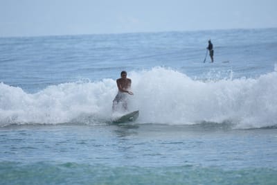 DSC_6362.JPG