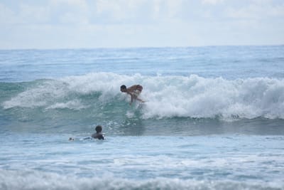 DSC_6374.JPG