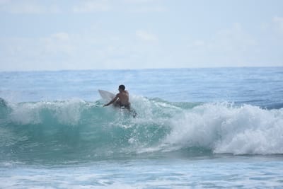 DSC_6378.JPG