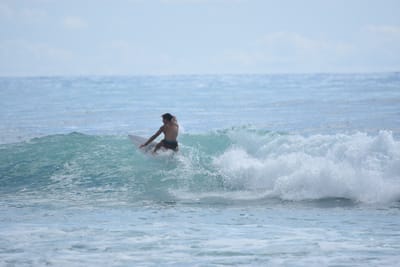 DSC_6383.JPG