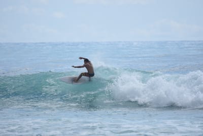 DSC_6384.JPG