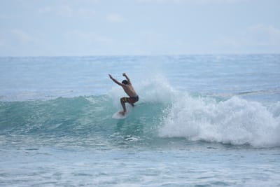 DSC_6385.JPG