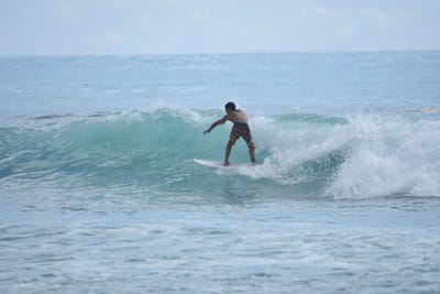 DSC_6387.JPG