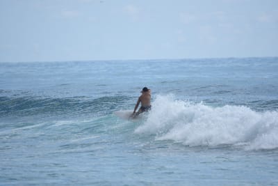 DSC_6390.JPG