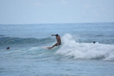 DSC_6391.JPG