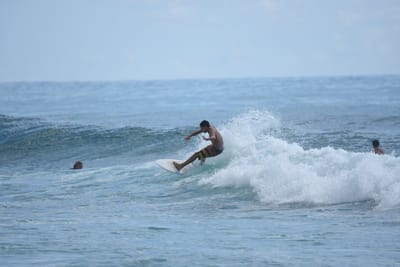 DSC_6392.JPG