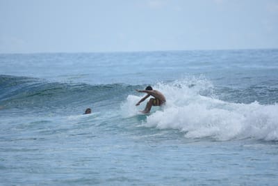 DSC_6393.JPG