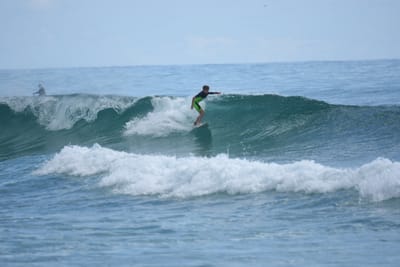 DSC_6395.JPG