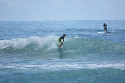 DSC_6403.JPG