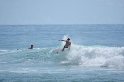 DSC_6419.JPG