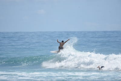 DSC_6428.JPG