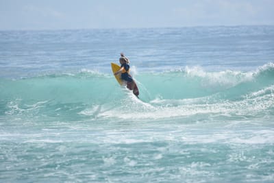 DSC_6447.JPG