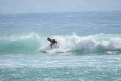 DSC_6453.JPG